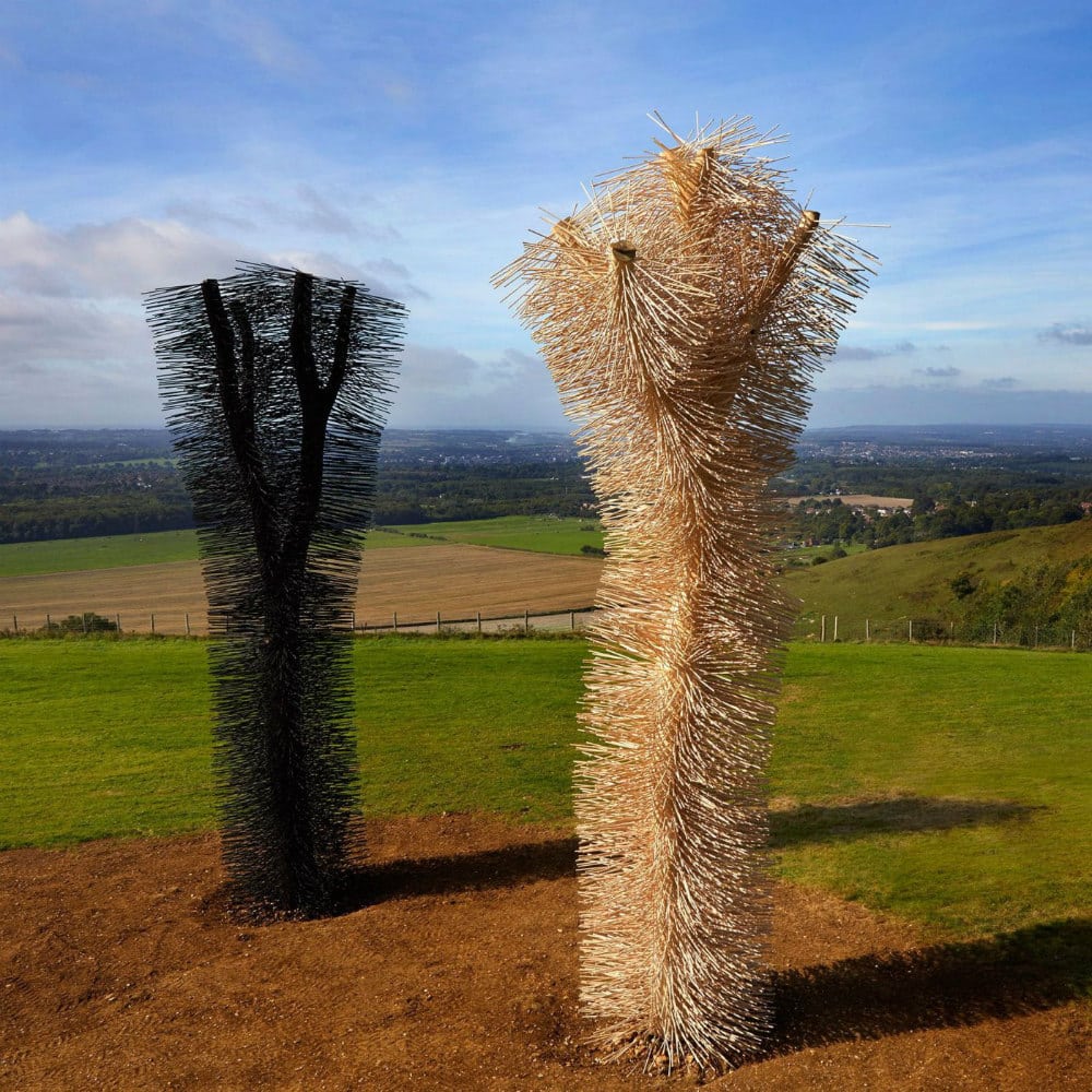 The Ash Project - See Kent