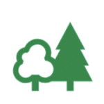 Bedgebury National Pinetum and Forest