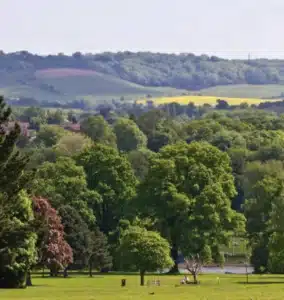 Park with tress, a lake and people around Mote Park for things to do and events in Maidstone
